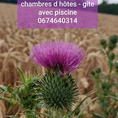 Au Chardon Bleu Bed & Breakfast Nesle Exterior photo