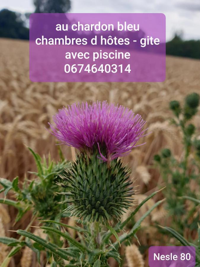 Au Chardon Bleu Bed & Breakfast Nesle Exterior photo